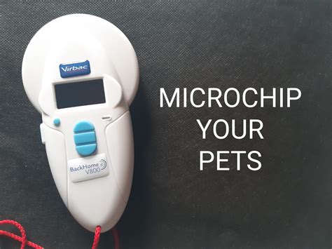 pet rfid chip|types of microchips for animals.